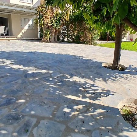 Coral Bay Suite Cyprus Dış mekan fotoğraf