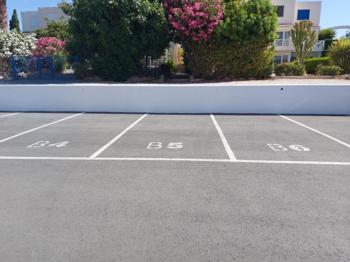 Coral Bay Suite Cyprus Dış mekan fotoğraf
