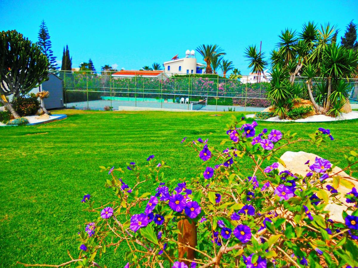 Coral Bay Suite Cyprus Dış mekan fotoğraf